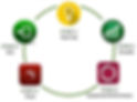 business life cycle